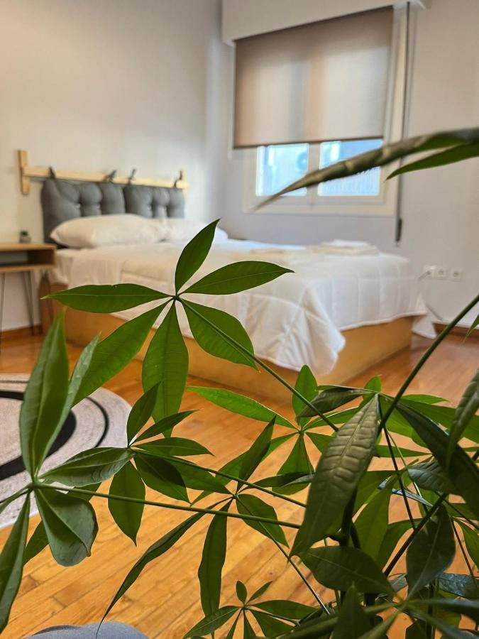Exarcheia Urban Studio Apartment 아테네 외부 사진
